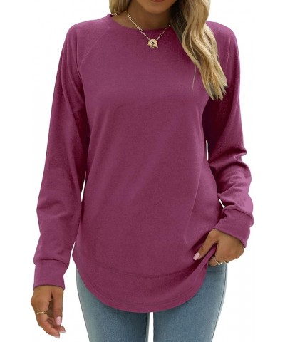 Sweatshirt for Women Crewneck Long Sleeve Shirts Plain Casual Fall Tops Side Split Purple $14.40 Hoodies & Sweatshirts