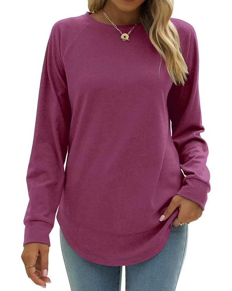 Sweatshirt for Women Crewneck Long Sleeve Shirts Plain Casual Fall Tops Side Split Purple $14.40 Hoodies & Sweatshirts