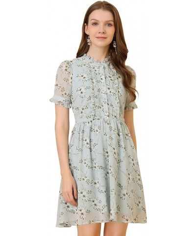 Women's Floral Ruffle Neck Half Placket Summer Chiffon Dress Light Blue $13.20 Dresses