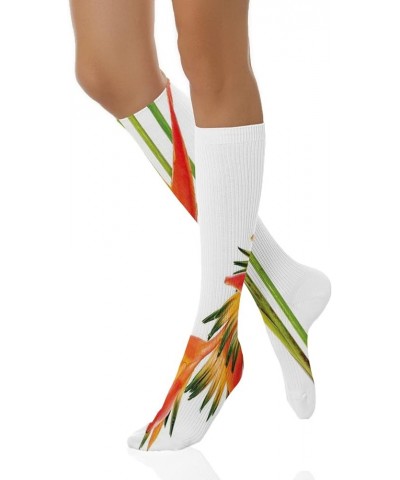 Funky Dress Socks, Long Funny Socks, Everyday Socks Women Soft Fun Pattern Green Orange _11 $10.17 Activewear