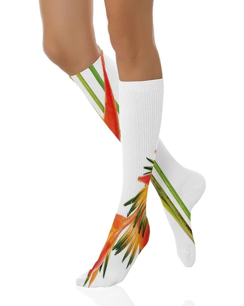 Funky Dress Socks, Long Funny Socks, Everyday Socks Women Soft Fun Pattern Green Orange _11 $10.17 Activewear