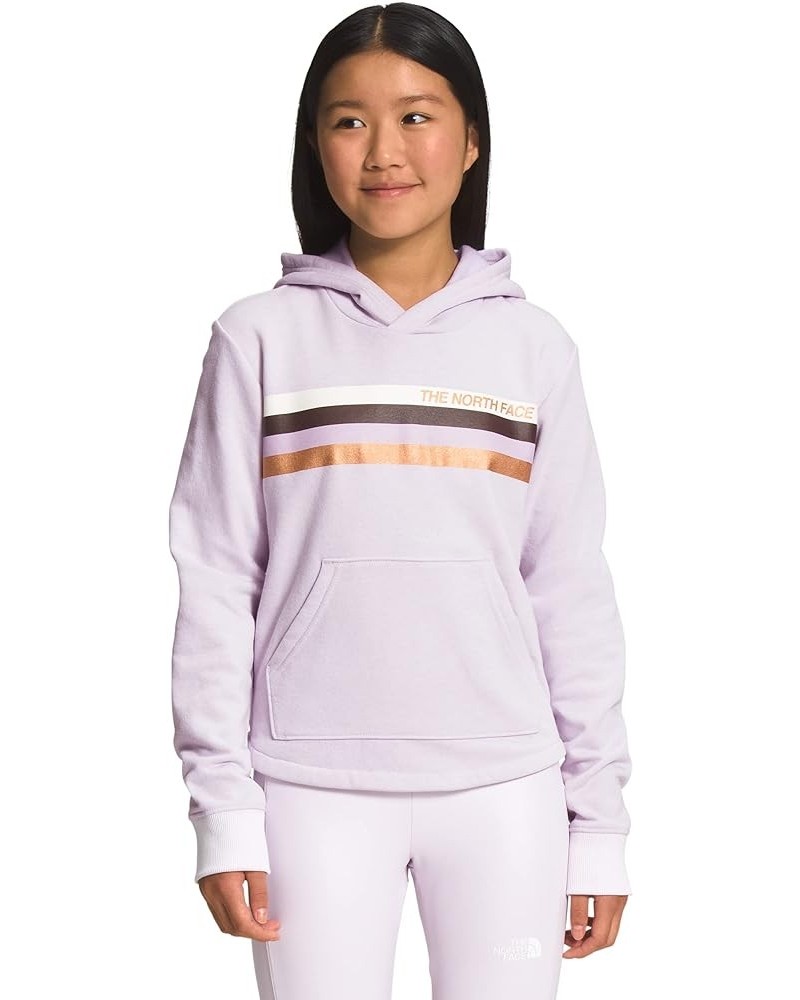 Girls' Camp Fleece Pullover Hoodie Sweatshirt Lavender Fog/Multi/Color Print $10.80 Hoodies & Sweatshirts